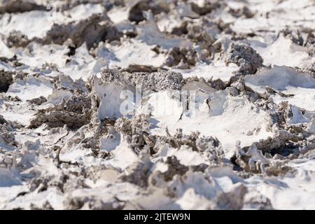 Parched ground cracked clay mud dried up in a lake. Etosha National Park, Namibia, Africa Stock Photo