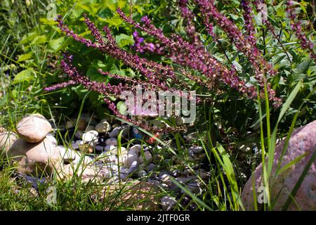 Small gnome mushroom house hidden in a flower bed Stock Photo