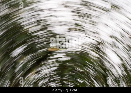 Defocused abstract motion grunge background Stock Photo