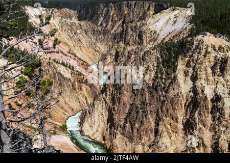 Grand Canyon of the Yellowstone as seen from North Rim's Lookout Point, Yellowstone National Park, Wyoming, USA Stock Photo