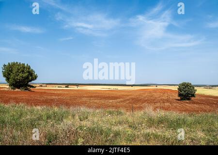 Red soil, remote rural landscape near Caleruega in Burgos province, Spain, Europe Stock Photo