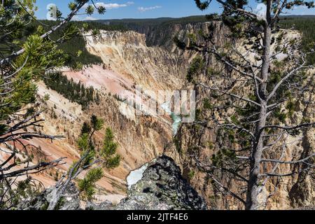 Grand Canyon of the Yellowstone as seen from North Rim's Lookout Point, Yellowstone National Park, Wyoming, USA Stock Photo