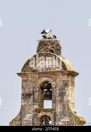 Storks on the Church of Santa Maria in Maderuelo in the Segovia province Castile Leon Spain Stock Photo