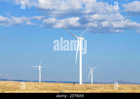 Wind turbines on an arid hillside in Washington State under a blue sky with yellow grass Stock Photo