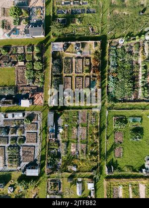 Aerial view of allotments for gardening vegetables Stock Photo