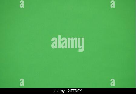 close up of green rubber foam board background and texture Stock Photo