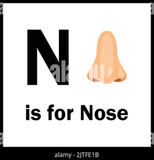 Flashcard letter N is for nose Stock Vector Image & Art - Alamy