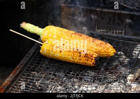 Grilled corn on the cob sizzling on a charcoal grill at a street fair. bbq corn barbeque corn on the grill. Stock Photo