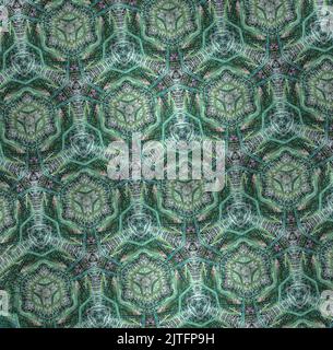 Kaleidoscope Background Pattern with Geometric Botanical Colors. Stock Photo
