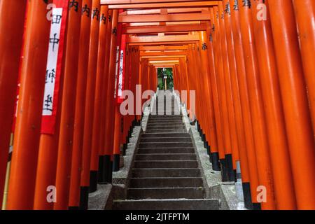 A vivid tunnel of red Torii gates line the stone stairs leading to the ...
