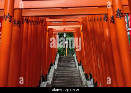 A vivid tunnel of red Torii gates line the stone stairs leading to the ...