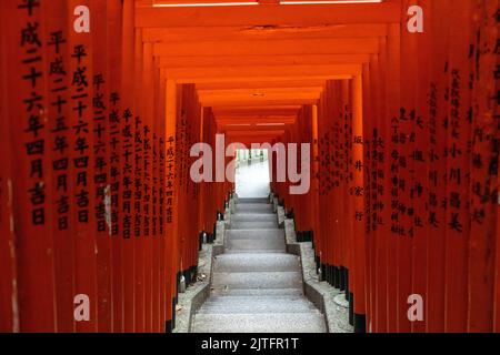 A vivid tunnel of red Torii gates line the stone stairs leading to the ...