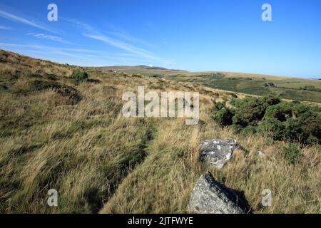 View from Belstone Common, Towards Yes tor and West mill tor, Dartmoor, Devon, England, UK Stock Photo