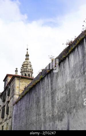 Flowers and grasses growing on the wall and Santiago de compostela Cathedral in the background Stock Photo