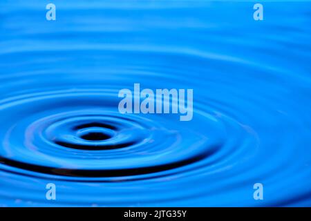 Splash drop of water with diverging water circles, on blue background Stock Photo