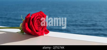 Red rose on sea background. Stock Photo