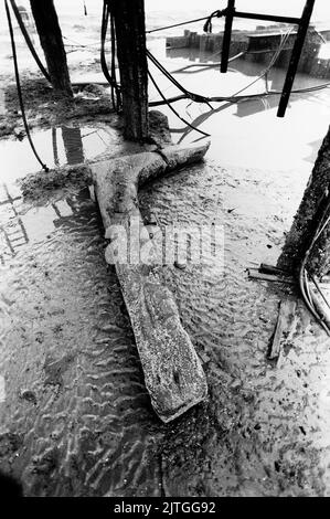 AJAXNETPHOTO. 28TH AUGUST, 1984. BULVERHYTHE BAY, NR HASTINGS, ENGLAND.  - AMSTERDAM WRECK - TIMBERS OF THE 18TH CENTURY DUTCH EAST INDIA CO MERCHANT SHIP SEEN AT LOW WATER SPRINGS NEAR THE WRECKSITE. SHIP WAS WRECKED IN A CHANNEL STORM ON 26TH JANUARY, 1749 AND REDISCOVERED IN 1969.  PHOTO:JONATHAN EASTLAND/AJAX.  REF:340 220105 17 Stock Photo