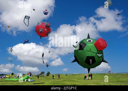 Colourful kite festival in Schillig, Germany, Lower Saxony, Wangerland, Schillig Stock Photo