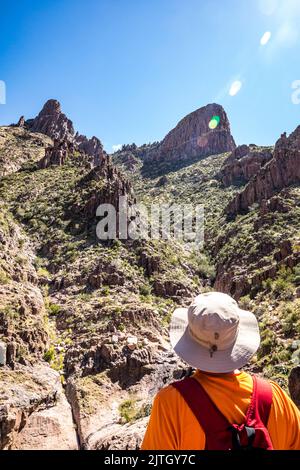 The back of a man wearing a hat looking up while hiking Siphon Draw trail in Lost Dutchman State Park, Arizona. Stock Photo