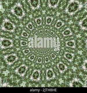 Kaleidoscope Background Pattern - Abstract botanical-Inspired, spiral design Stock Photo