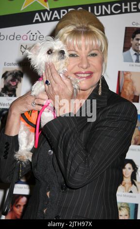 Ivana Trump, Donald Trump's first wife and the mother of his three oldest children, has died at the age of 73 in New York City on July 14, 2022.  November 10, 2008  New York City, NY Ivana Trump Bideawee's First Annual StarPet 2008 Held at The Edison Ballroom © Steven Bergman / AFF-USA.com Stock Photo