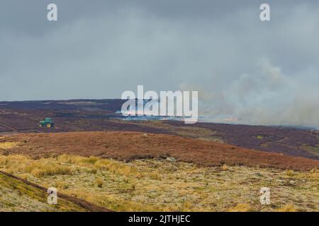 Controlled heather burning on managed Grouse Moorland in Swaledale, Yorkshire Dales and carried out to encourage regeneration of new heather shoots. Stock Photo
