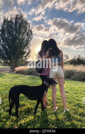 View from behind portrait of a mother and daughter with dog hugging at sunset in park Stock Photo