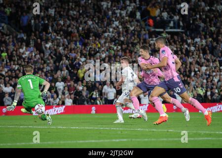 Leeds, UK. 30th Aug, 2022. Joe Gelhardt #30 of Leeds United takes a shot but is saved by Jordan Pickford #1 of Everton in Leeds, United Kingdom on 8/30/2022. (Photo by James Heaton/News Images/Sipa USA) Credit: Sipa USA/Alamy Live News Stock Photo