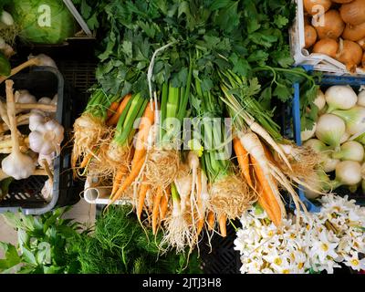 Spring root vegetables: celery, carrots and parsley and flowers, tomatoes, garlic, cabbage, onions and herbs in the background. Spring day in polish m Stock Photo