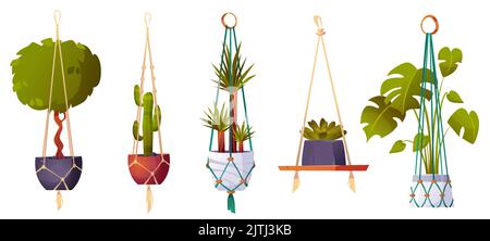 Macrame hangers with green house plants and flowers. Handmade planters, hanging pots with cactus, ficus, dracaena and monstera for home interior, garden or greenhouse, vector cartoon set Stock Vector