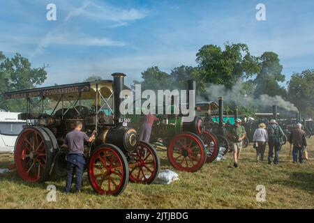 Salop/Shrewsbury steam fair, held at Onslow Park Shrewsbury. A wide variety of steam and vintage vehicles Stock Photo