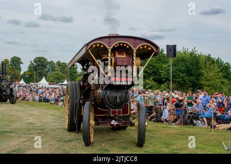 Salop/Shrewsbury steam fair, held at Onslow Park Shrewsbury. A wide variety of steam and vintage vehicles Stock Photo