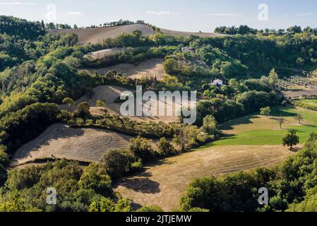 View of the fields and trees near Belvedere Fogliense in the Marche region of Italy, at evening before the sun sets. Stock Photo