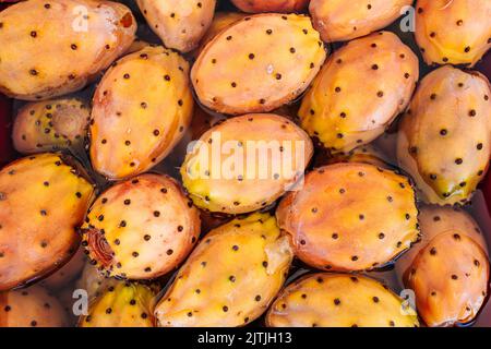 Fresh prickley pears fruit from Puglia, Italy Stock Photo