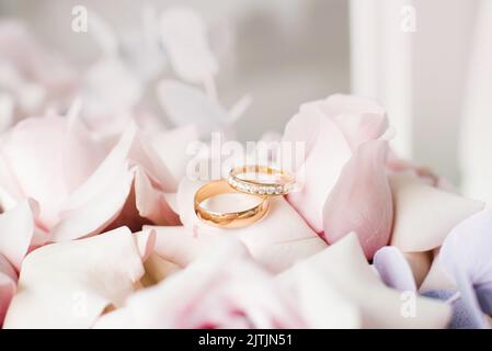 Gold wedding rings lie on delicate pink roses close-up Stock Photo