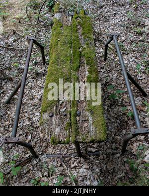 An ramshackle table in the forest is covered in moss Stock Photo