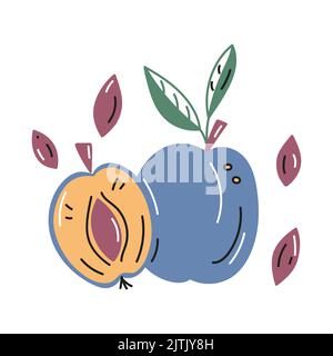 Vector illustration of plums whole and cut with pits. Trend style. Stock Vector