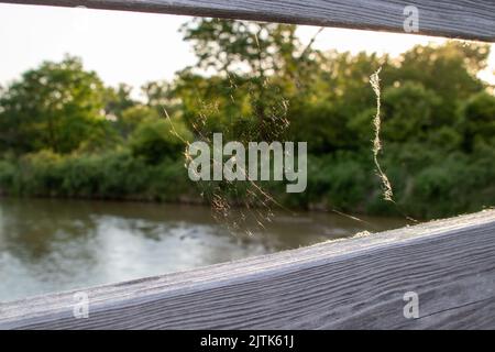 A closeup of a small spider web on a wooden bridge with a blurred background Stock Photo