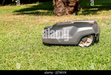 Robotic Lawn Mower cutting grass in the garden in a summer day. Stock Photo
