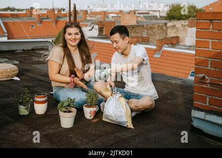 Male and female friends sitting with potted plants on rooftop Stock Photo