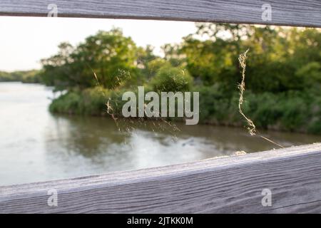 A closeup of a small spider web on a wooden surface above a lake surrounded by trees Stock Photo
