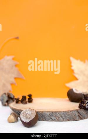 Wood podium saw cut tree on orange background with autumn leaves. Autumn subject. Copy space. Stock Photo