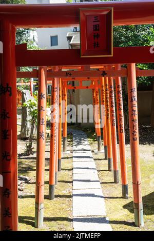 Torii gates at the eclectic Mimeguri-jinja Shrine, in Sumida City, Tokyo, Japan. The gongen zukuri style shrine is closely connected to the Mitsui Clan, founders of the Mitsukoshi Department Store. Stock Photo