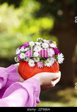 Girl's hands holding handmade  pumpkin vase with beautiful bouquet of colorful aster flowers init. Stock Photo