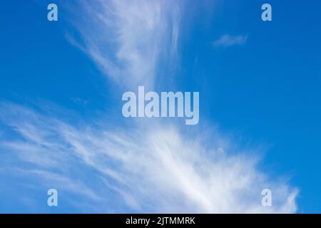 Clouds that look different. Thin cloud on blue sky in background.Cloud shapes. copy text area Stock Photo