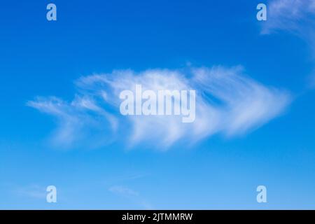 Fishbone cloud. clouds that look different. Thin cloud on blue sky in background.Cloud shapes. copy text area. Stock Photo