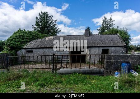 An old abandoned house near Drinagh in the Irish midlands. Stock Photo