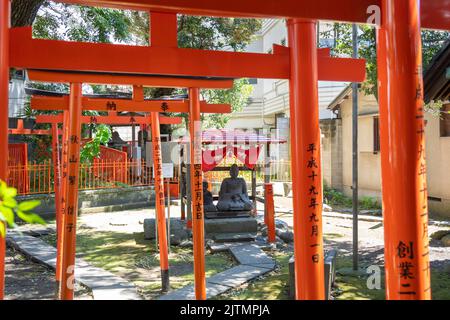 Torii gates and Buddha statues at the eclectic Mimeguri-jinja Shrine, in Sumida City, Tokyo, Japan. The gongen zukuri style shrine is closely connected to the Mitsui Clan, founders of the Mitsukoshi Department Store. Stock Photo