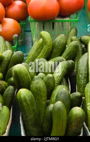 Recycled cardboard containers with small pickling organic Cucumis sativus - cucumbers and red tomatoes for sale at outdoor market. Stock Photo