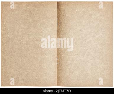 Grungy paper texture. Old book page isolated on white background Stock Photo